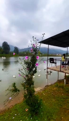 عکس دریاچه دیگه سرا