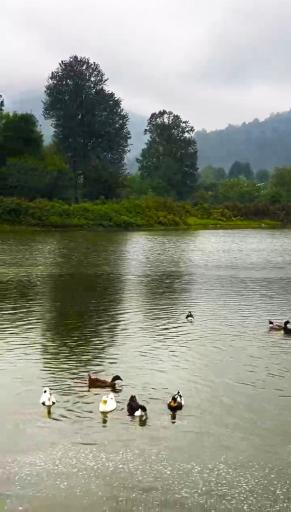 عکس دریاچه دیگه سرا