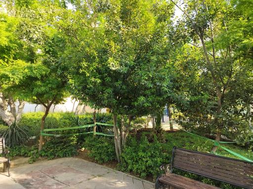 عکس بوستان دیالمه