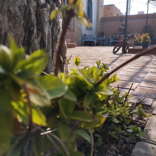 عکس اقامتگاه و بوم‌گردی عمارت محمد حسین خان 