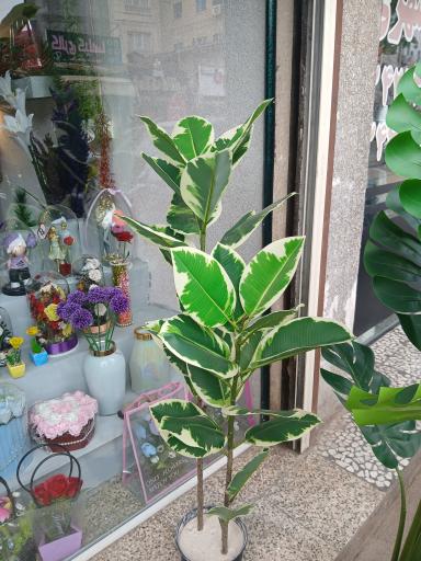 دهکده گلهای مصنوعی