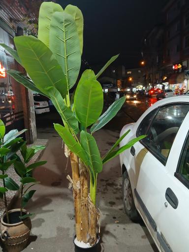 عکس دهکده گلهای مصنوعی