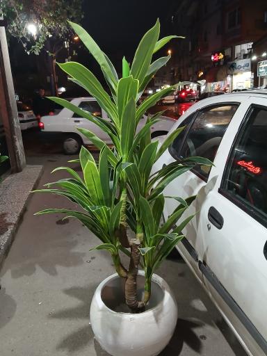 دهکده گلهای مصنوعی