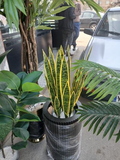 دهکده گلهای مصنوعی