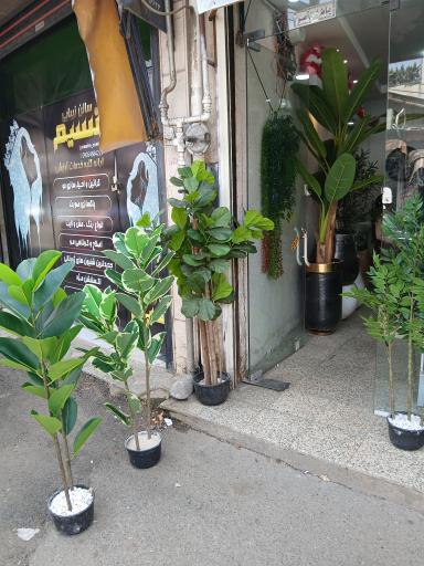 عکس دهکده گلهای مصنوعی