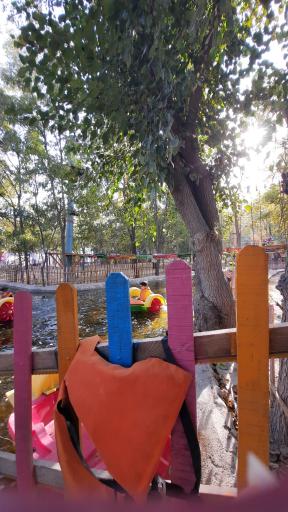 عکس مجموعه تفریحی گیاهشناسی باغ مشهد