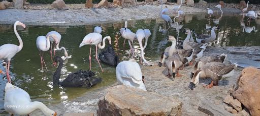 عکس مجموعه تفریحی گیاهشناسی باغ مشهد