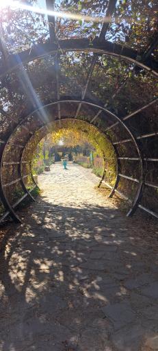 عکس مجموعه تفریحی گیاهشناسی باغ مشهد