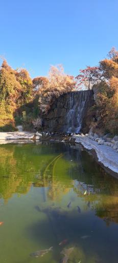 عکس مجموعه تفریحی گیاهشناسی باغ مشهد