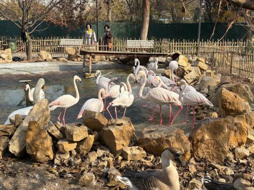 عکس مجموعه تفریحی گیاهشناسی باغ مشهد