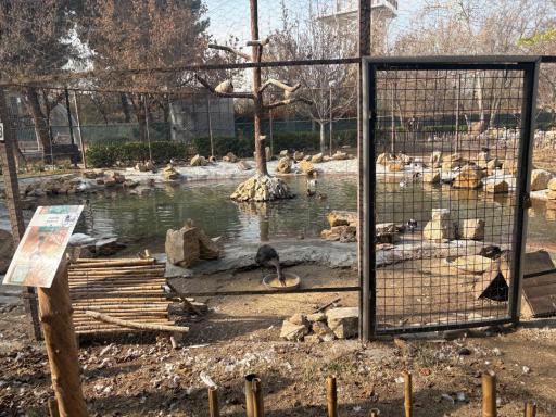 عکس مجموعه تفریحی گیاهشناسی باغ مشهد