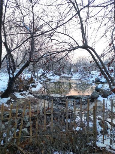 عکس مجموعه تفریحی گیاهشناسی باغ مشهد