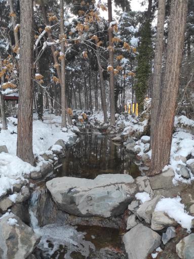 عکس مجموعه تفریحی گیاهشناسی باغ مشهد