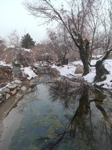 عکس مجموعه تفریحی گیاهشناسی باغ مشهد