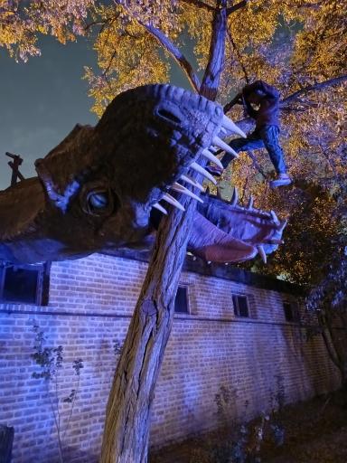 عکس مجموعه تفریحی گیاهشناسی باغ مشهد