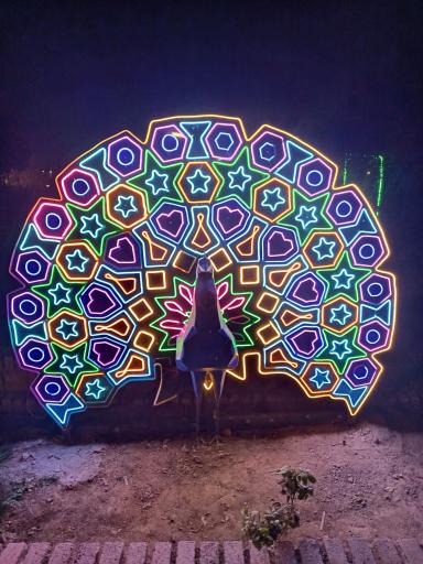 عکس مجموعه تفریحی گیاهشناسی باغ مشهد