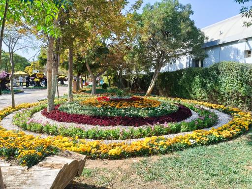 عکس مجموعه تفریحی گیاهشناسی باغ مشهد