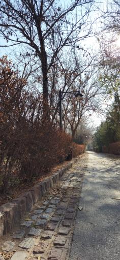 عکس مجموعه تفریحی گیاهشناسی باغ مشهد