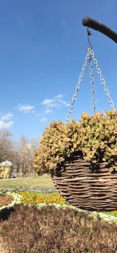 عکس مجموعه تفریحی گیاهشناسی باغ مشهد