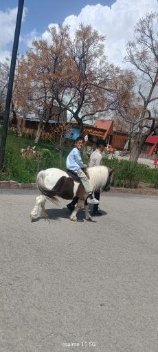 عکس مجموعه تفریحی گیاهشناسی باغ مشهد