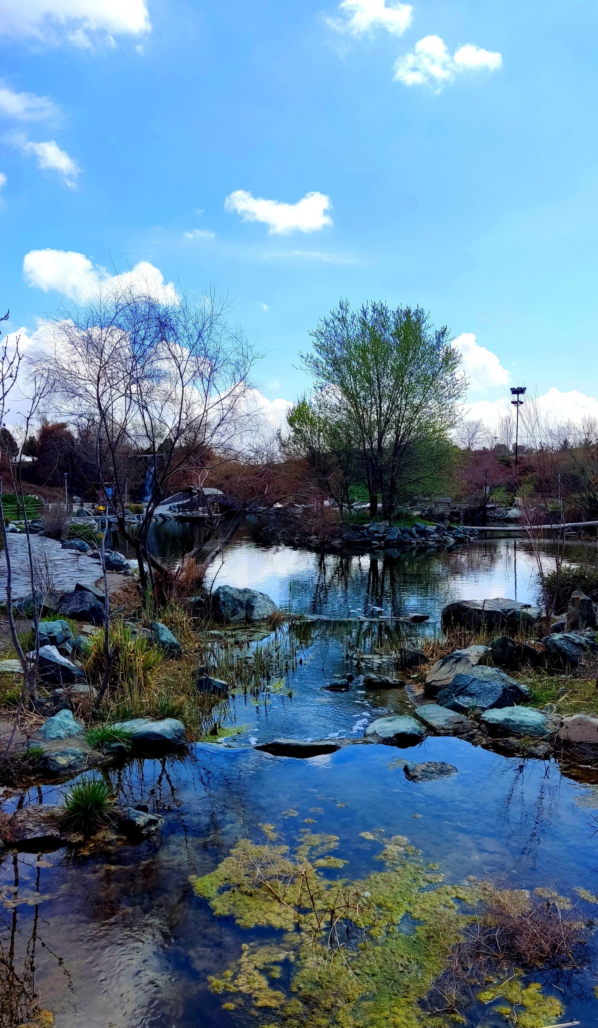 عکس مجموعه تفریحی گیاهشناسی باغ مشهد