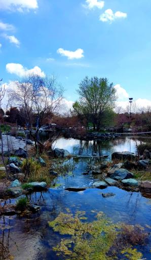 عکس مجموعه تفریحی گیاهشناسی باغ مشهد