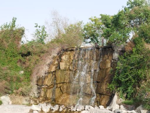 عکس مجموعه تفریحی گیاهشناسی باغ مشهد