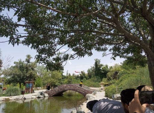 عکس مجموعه تفریحی گیاهشناسی باغ مشهد