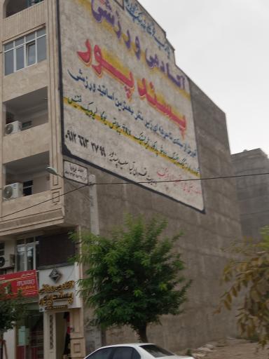 عکس آکادمی ورزشی پسندپور