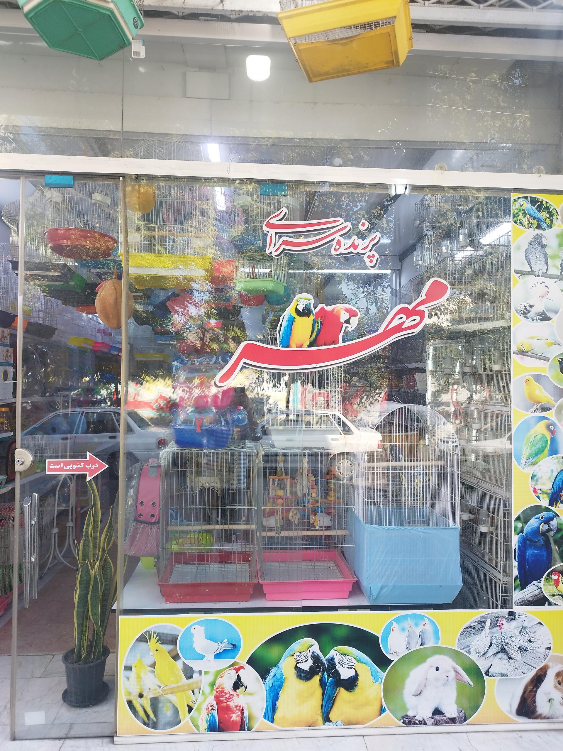 عکس پرنده سرای مهر 