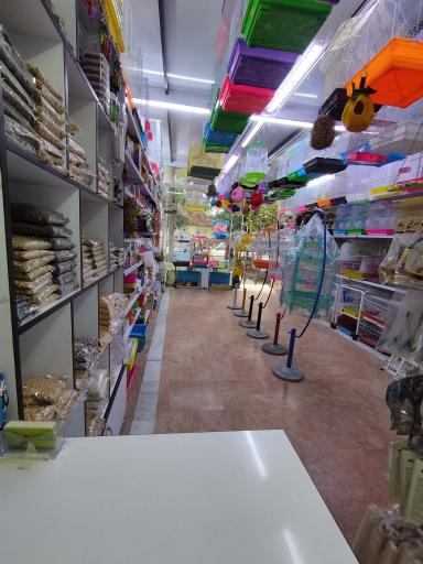 عکس پرنده سرای مهر 