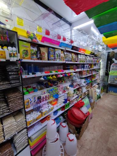 عکس پرنده سرای مهر 