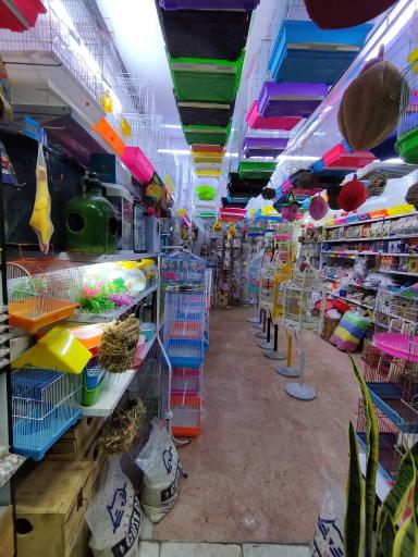 عکس پرنده سرای مهر 