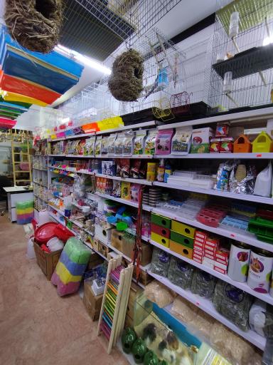 عکس پرنده سرای مهر 