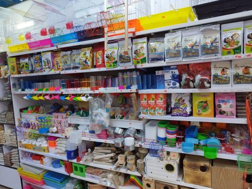 عکس پرنده سرای مهر 