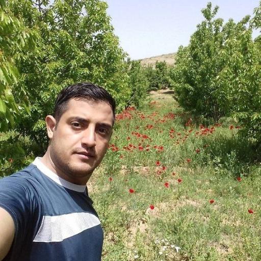 عکس کشت گنجی