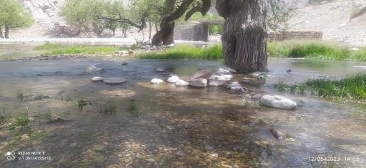 عکس چشمه آب سرد زعفرانیه