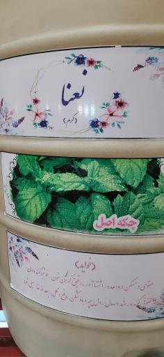 عکس عرقیات شیراز منصورآبادی