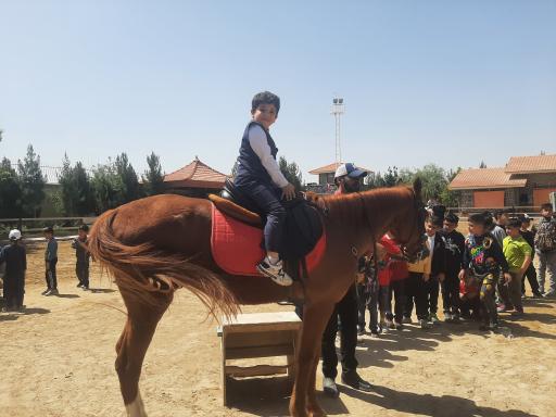 عکس باشگاه پرورش اسب سمنگان