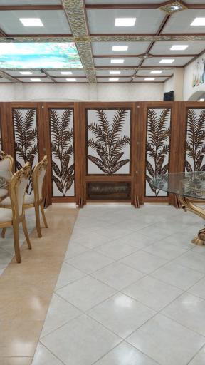 عکس پاراوان و پارتیشن مارال 
