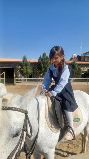 عکس باشگاه پرورش اسب سمنگان