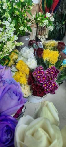 عکس گلفروشی آراد