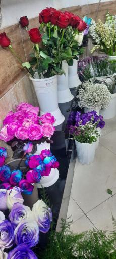 عکس گلفروشی آراد