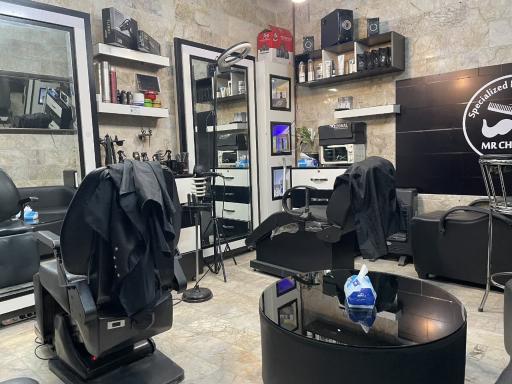 عکس زیبایی مستر چهره