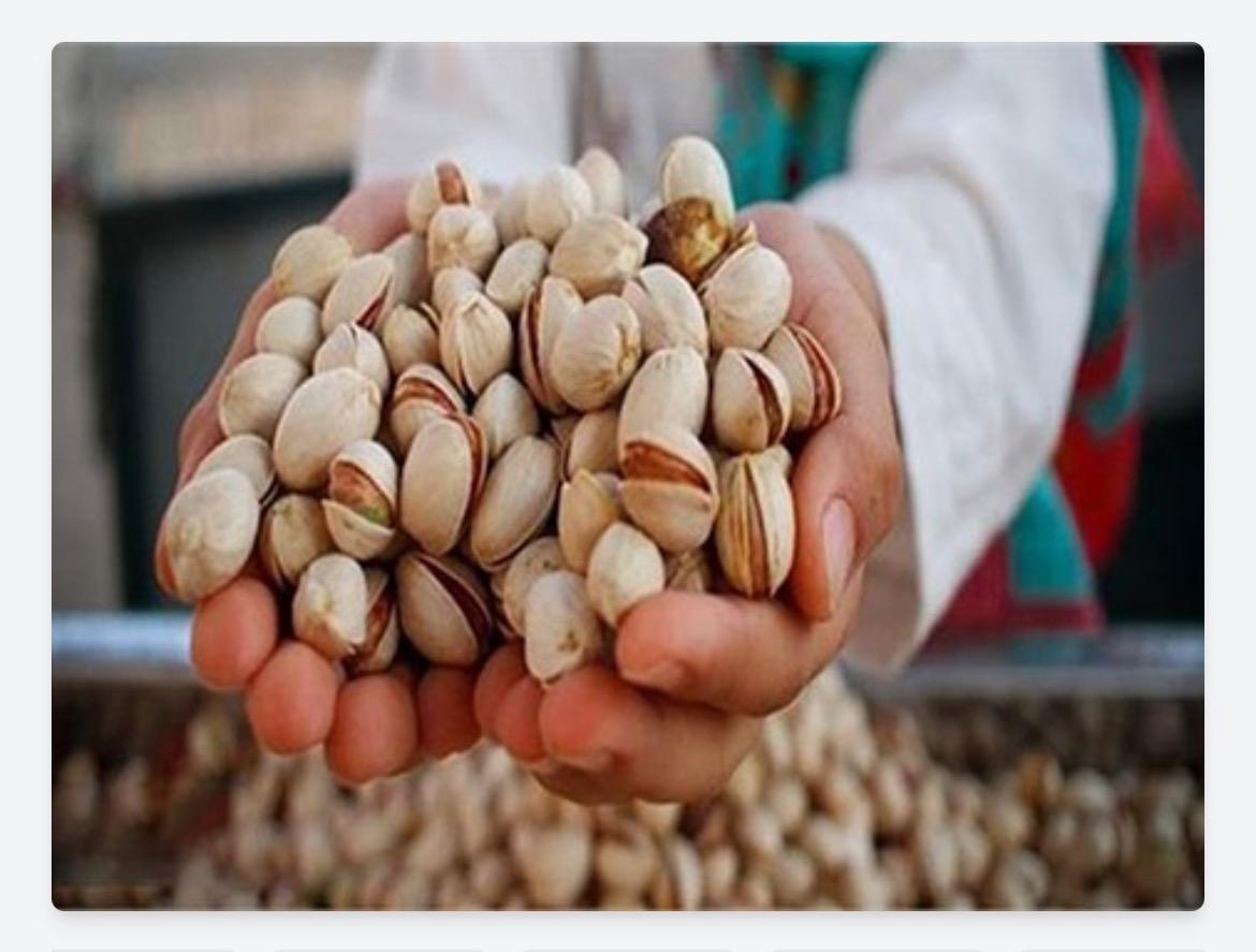 عکس شرکت پسته سفیر الماس سبز