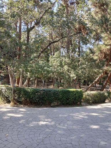 عکس بوستان قیطریه