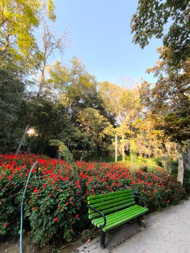 عکس بوستان قیطریه