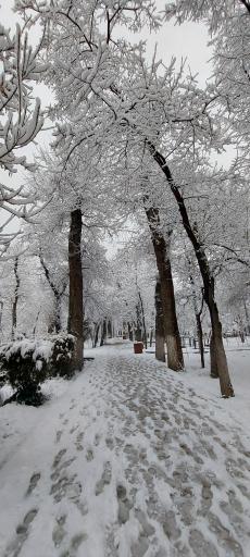 عکس بوستان قیطریه