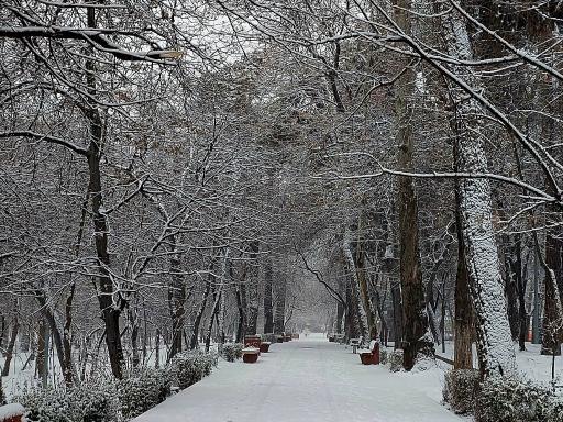 عکس بوستان قیطریه