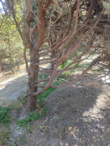 عکس بوستان قیطریه تهران
